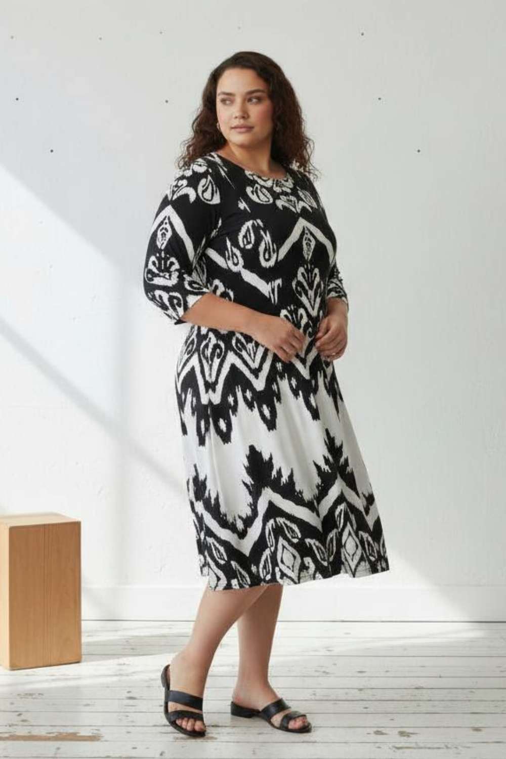 Plus Size Black White Print A line Dress | Amydus