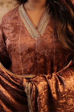 Plus Size Mocha Brown Velvet V Neck Suit Set